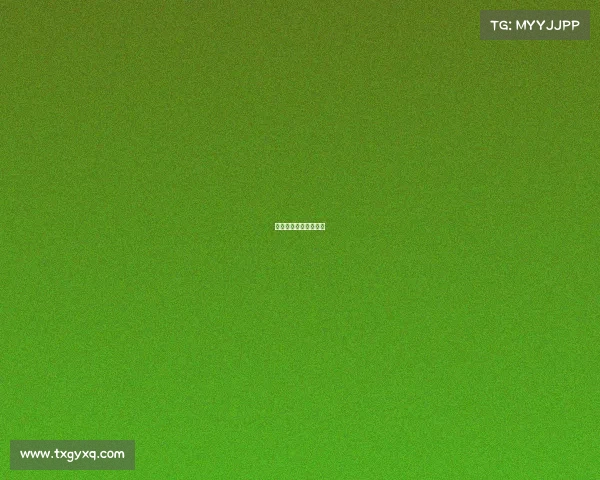 举办过国际赛事的城市