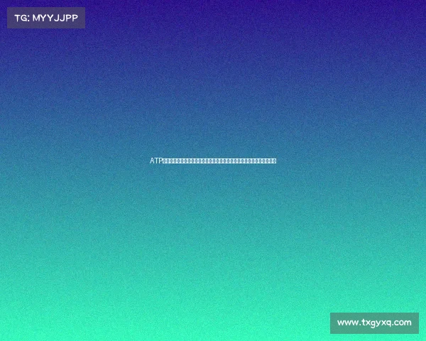 ATP赛事级别划分全景解析：深入探讨从大师系列到挑战赛的分级体系与标准